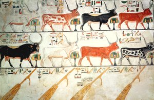 Die sieben himmlischen Kühe und der heilige Stier und die vier Ruder des Himmels, aus dem Grab von Nefertari, Neues Reich von Egyptian 19th Dynasty