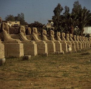 Allee der Sphinxe, hinzugefügt von Nektanebos I (380-362 v. Chr.)