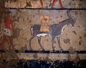 Ägyptische Antiquität: "Der Getreidetransport auf dem Rücken eines Maultiers". Temperamalerei an der Wand des Grabes des Kanzlers von König Iti (oder Ity) 2200-2000 v. Chr. Aus El Ghebelen, Luxor. Turin, Ägyptisches Museum von Egyptian Egyptian