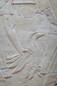 Hand hält 2 Gänse an den Flügeln, Grab von Ramose von Egyptian Egyptian