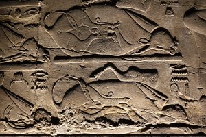 Luxor-Tempel: geopferte Kühe von Egyptian Egyptian