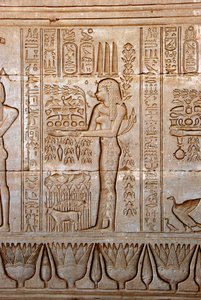 Ägyptische Antike: Darstellung einer jungen Frau, die Opfergaben als Hommage an die Göttin bringt, Tempel von Hathor, Denderah, Ägypten von Egyptian Ptolemaic Period