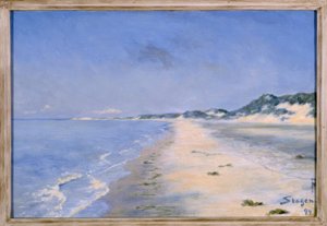 Ein herrlicher Sommertag in Skagen