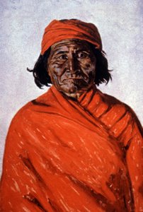 Geronimo, ca. 1900 (Illustration)