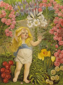 Die Lilie, die Blume des Himmels