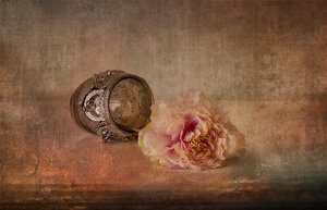 Rosa Pfingstrose und Andenken