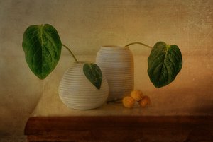 Ruhige botanische Anordnung