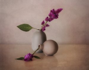 Serene Blumenvasen