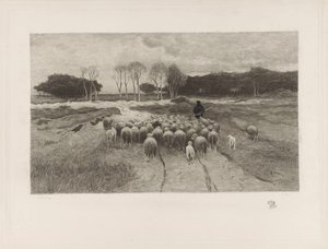 Schäfer von Elias Stark