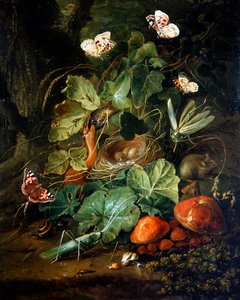 Ein Stillleben mit Früchten und Schmetterlingen auf dem Waldboden