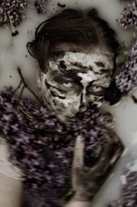 SchönheitBiester, 2015 von Elinleticia Högabo