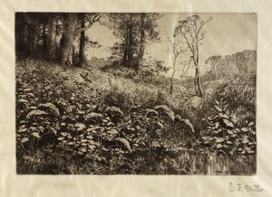 Ein Sommernachmittag von Elis F. Miller