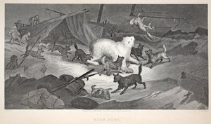 Bärenjagd, Illustration aus 