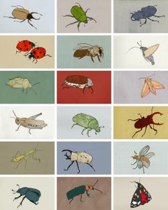 Insekten