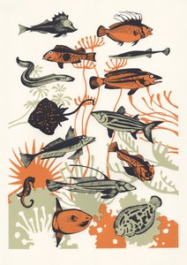 Orange Seetang Fisch, 2015