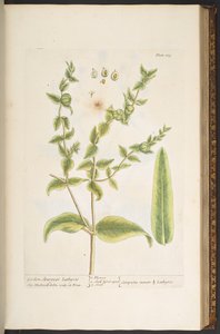 Tafel 123, aus 