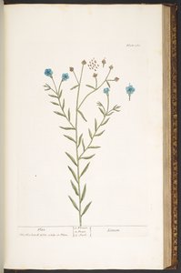 Tafel 160, aus 