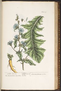 Tafel 177, aus 