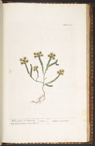 Tafel 232, aus 