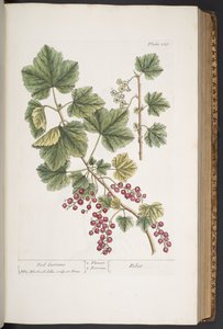 Tafel 285, aus 