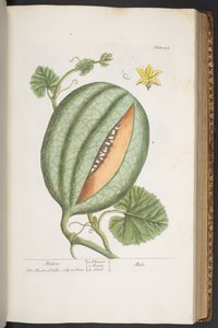 Tafel 329, aus 