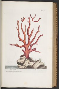 Tafel 341, aus 