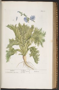 Tafel 378, aus 