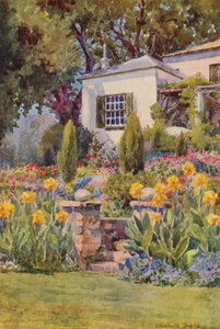 Gelbe Cannas an den Stufen, Bishopscourt, nahe Kapstadt