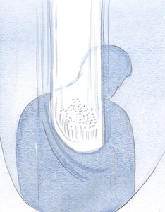 Ich sah, dass alle, die in meinem Herzen Zuflucht finden, durch die Vereinigung der Seele mit Christus in seiner Liebe und Gnade getränkt sind.