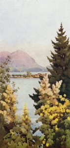 Ein Garten