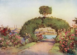 Ein Rosengarten in Gizeh und Blick auf Kairo