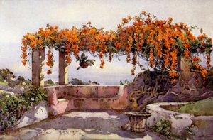 Bignonia Venusta von Ella Du Cane