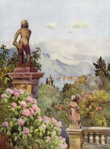 Hortensien, Isola Bella, Lago Maggiore