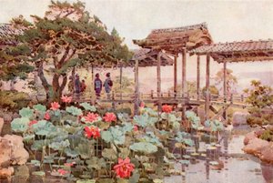 Lotus im Kodaiji