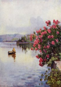 Oleander