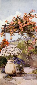 Rosen, Santa Luzia