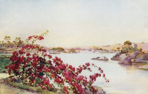Blick von der Insel des Sirdar, Assuan