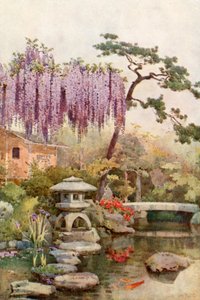 Wisteria in einem Garten in Kyoto