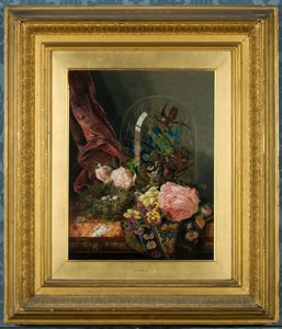 Rosen und Stillleben