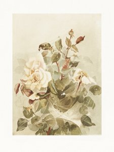 Rosa Rosen im Morgentau