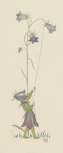 Illustration für Blondchen in Blüten von Elsa Beskow