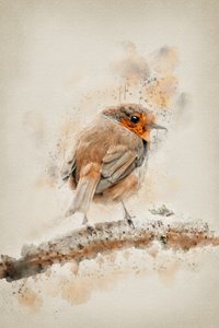 Sanftes Aquarell-Rotkehlchen
