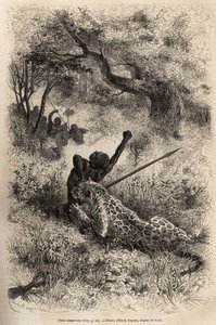 Ein Leopard springt auf einen Mann und beißt ihn grausam in den Rücken, in der Nähe von Bambare (Kongo), Gravur nach einer Zeichnung von Emile Bayard, die David Livingstones letztes Tagebuch (1813-1873) illustriert, in 1866-1873, veröffentlicht in "Le tour
