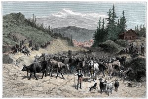 Alpen: das Jodeln oder Abmarsch der Herden (Kühe, Ziegen) zu den Weiden. Illustration von Emile Bayard für das Buch Les Montagnes von Albert Dupaigne, Ausgabe Mame 1881.