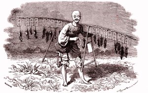 Rattenfänger in China