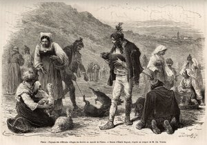 Die Bauern in der Umgebung von Pisino (Kroatien) versammeln sich zum Verkauf ihrer landwirtschaftlichen Produkte auf dem Markt: Geflügel, Ferkel..., Gravur nach einer Zeichnung von Emile Bayard zur Illustration der Reise nach Istrien und Dalmatien, 1874, v von Emile Antoine Bayard