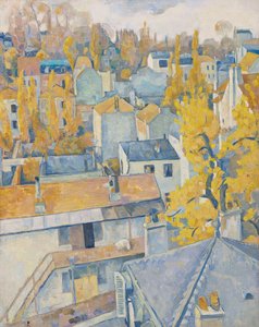 Dachansicht, 1890