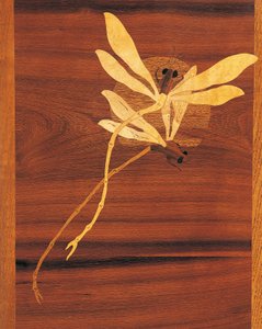 Libellen, Detail aus Jugendstil-Schrank, ca. 1900, von Emile Galle (1846-1904), geschnitzte und eingelegte Walnuss, Frankreich, 20. Jahrhundert von Emile Galle