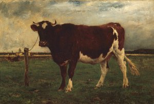 Studie einer Kuh von Emile van Marcke de Lummen