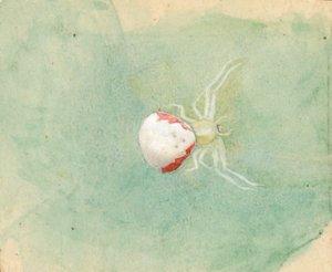 Porzellan-Weiße Spinne, spätes 19. - frühes 20. Jahrhundert